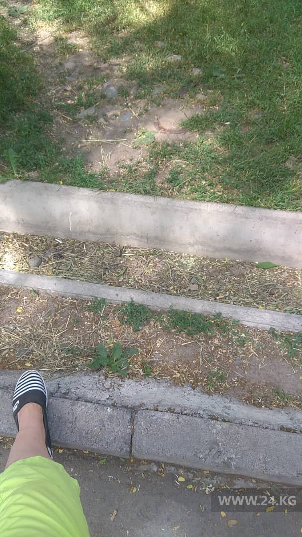 В Бишкеке нет полива в парках и скверах