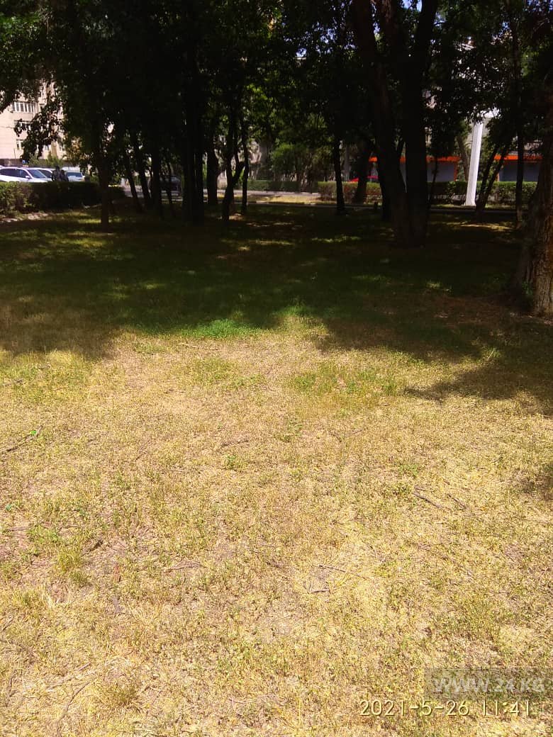 В Бишкеке нет полива в парках и скверах