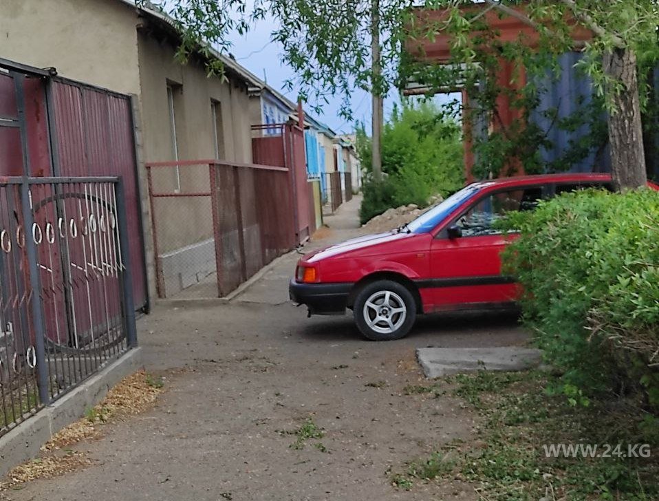 Чудаки парковки