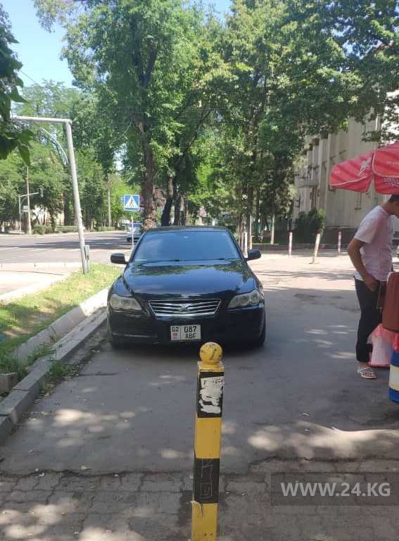 Чудаки парковки