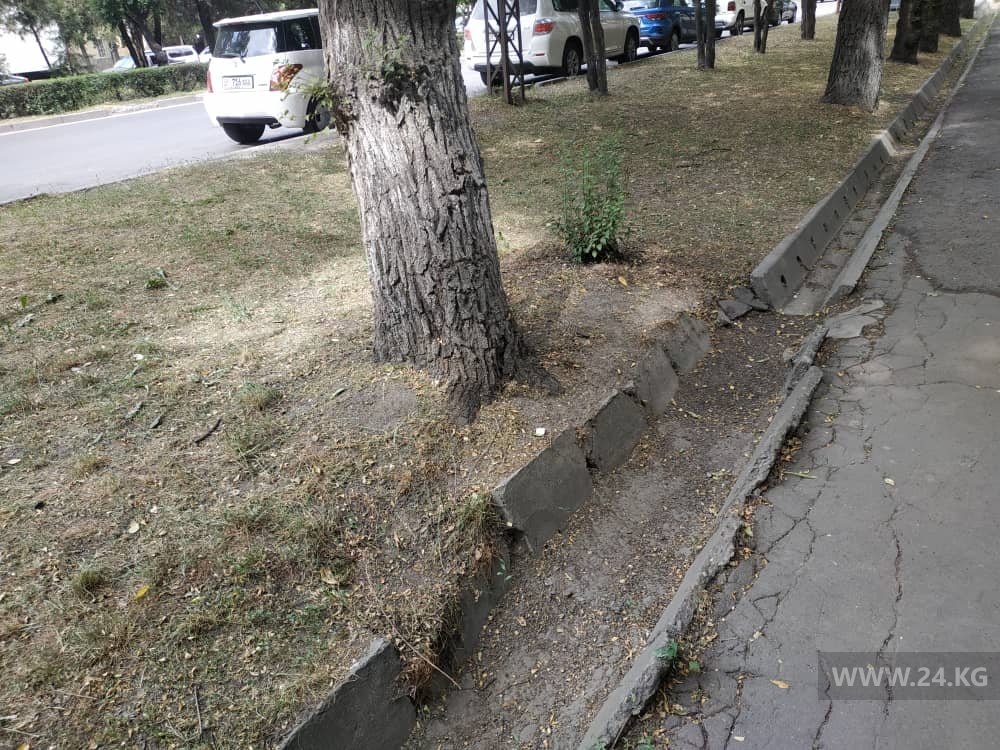 В разбитых арыках воды нет