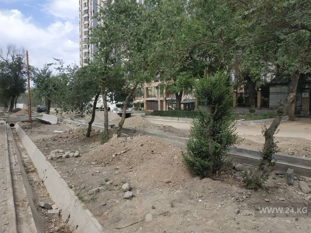 При строительстве дорог деревья не в приоритете