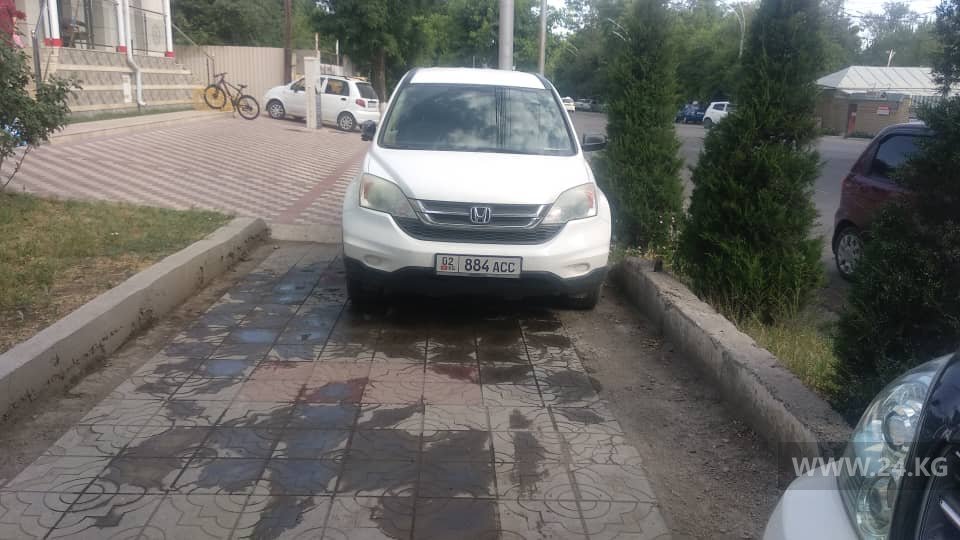 Чудаки парковки