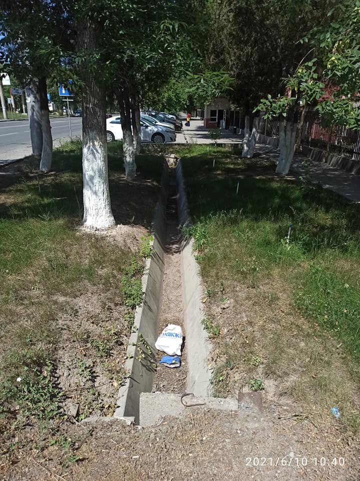 В Бишкеке вдоль улицы Анкара засыхают зеленые насаждения
