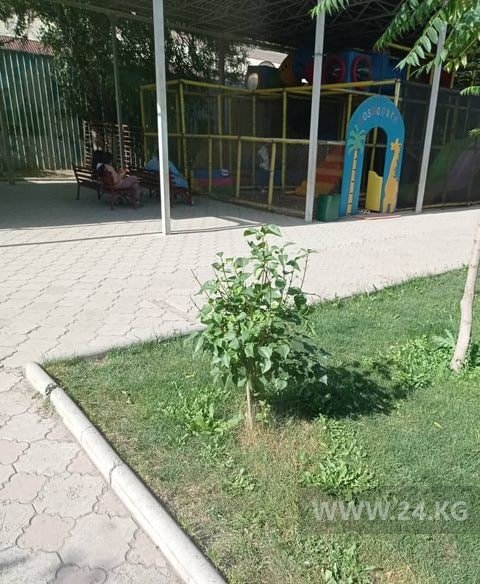 В одном из парков Бишкека