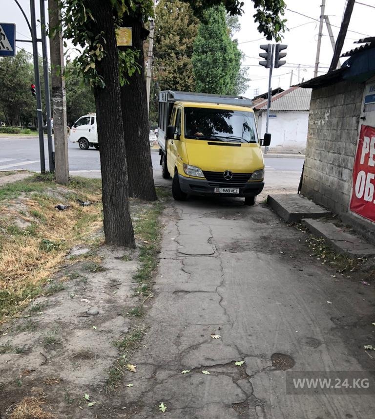 Чудаки парковки