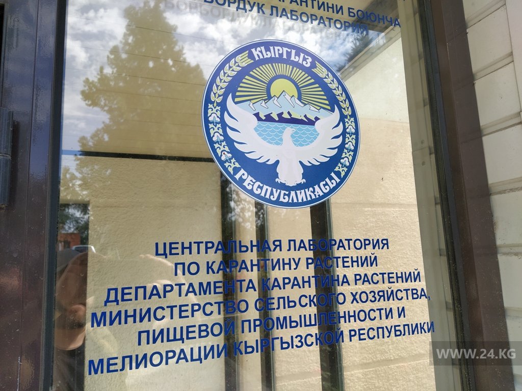 Центральная лаборатория по карантину растений в Бишкеке.