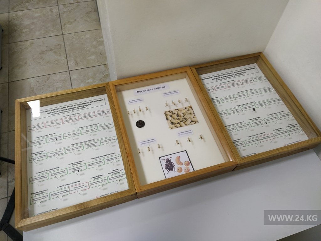 Центральная лаборатория по карантину растений в Бишкеке.