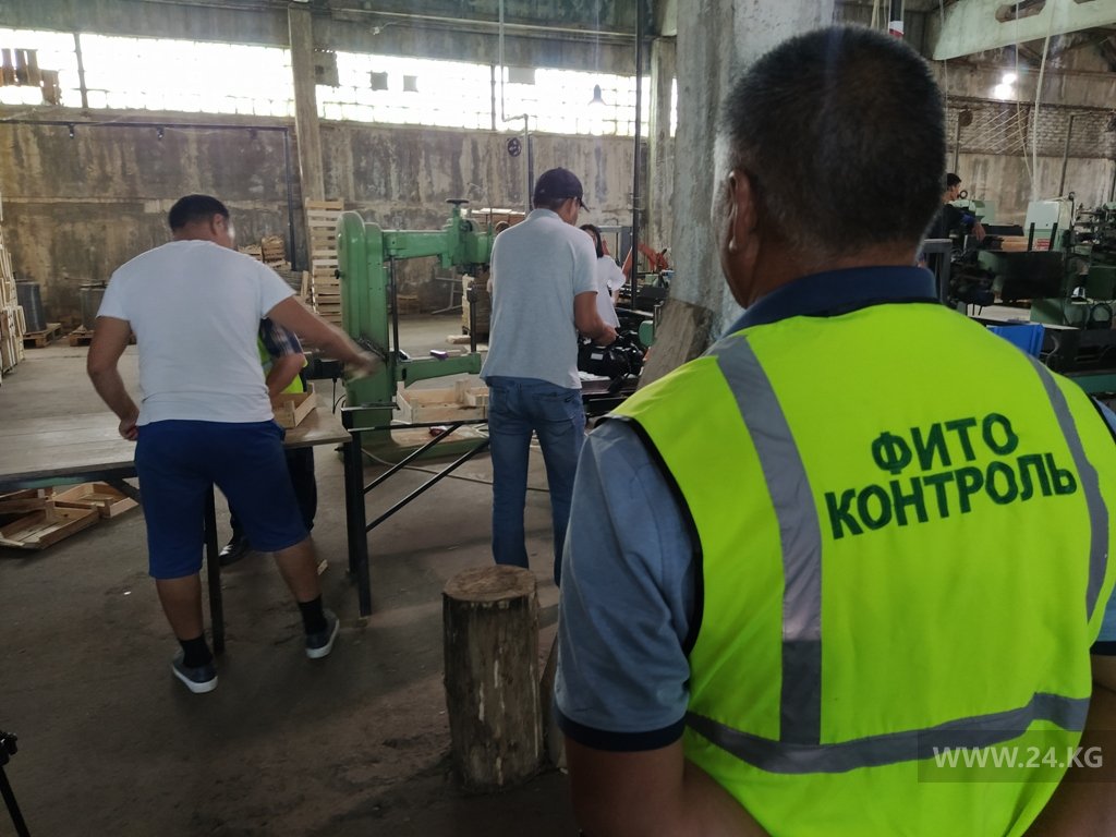 Цех по производству ящиков в селе Кара-Жыгач.