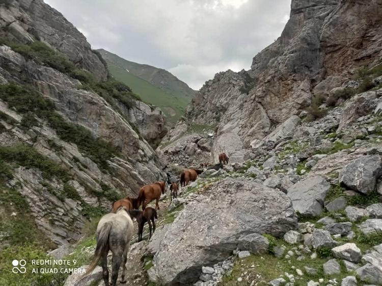 Местность Алайкуу, джайлоо Ажике