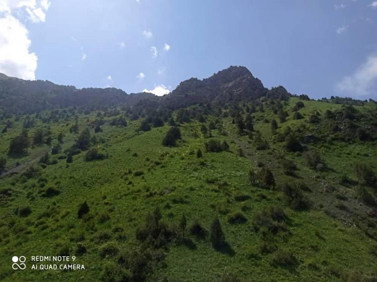 Местность Алайкуу, джайлоо Ажике