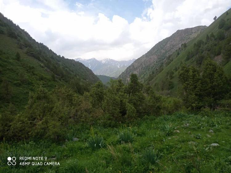 Местность Алайкуу, джайлоо Ажике