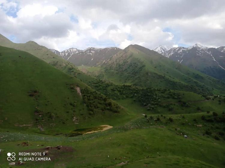 Местность Алайкуу, джайлоо Ажике
