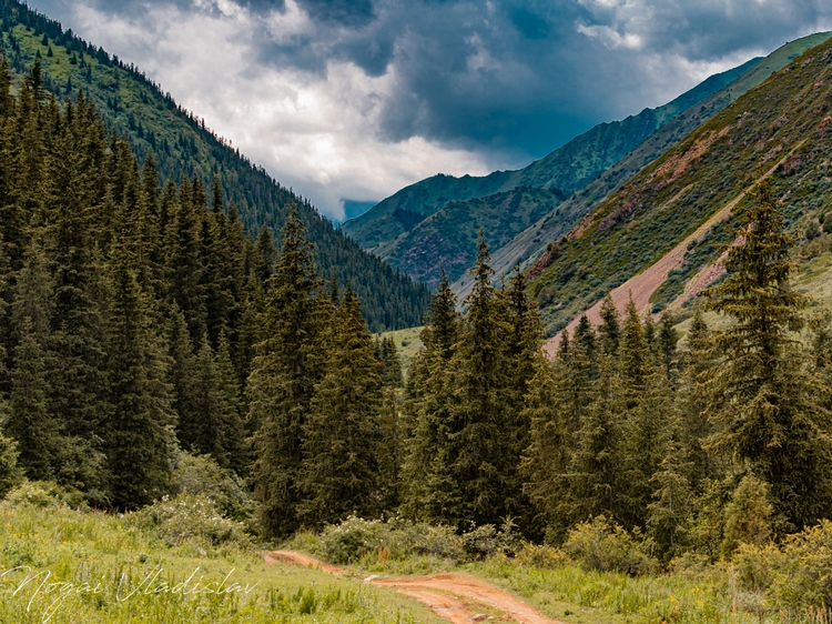 Ущелье Шамси