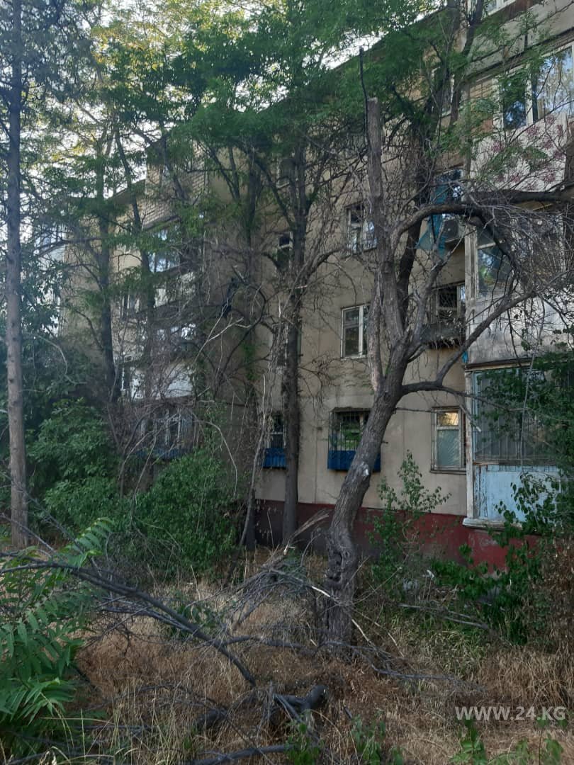 Бишкек засыхает