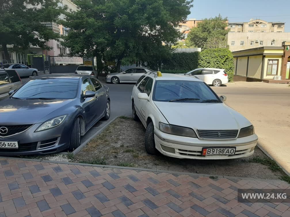 Чудаки парковки