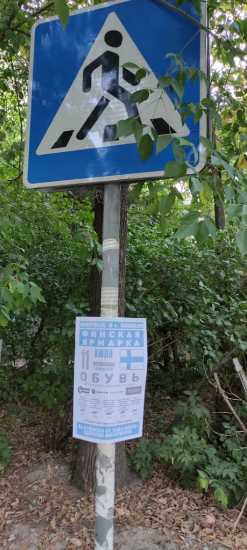 В Бишкеке во дворах расклеивают объявления на деревьях