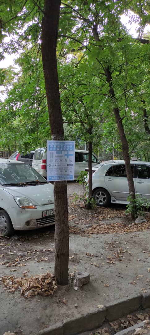 В Бишкеке во дворах расклеивают объявления на деревьях