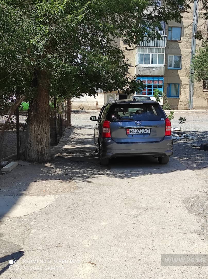 Чудаки парковки