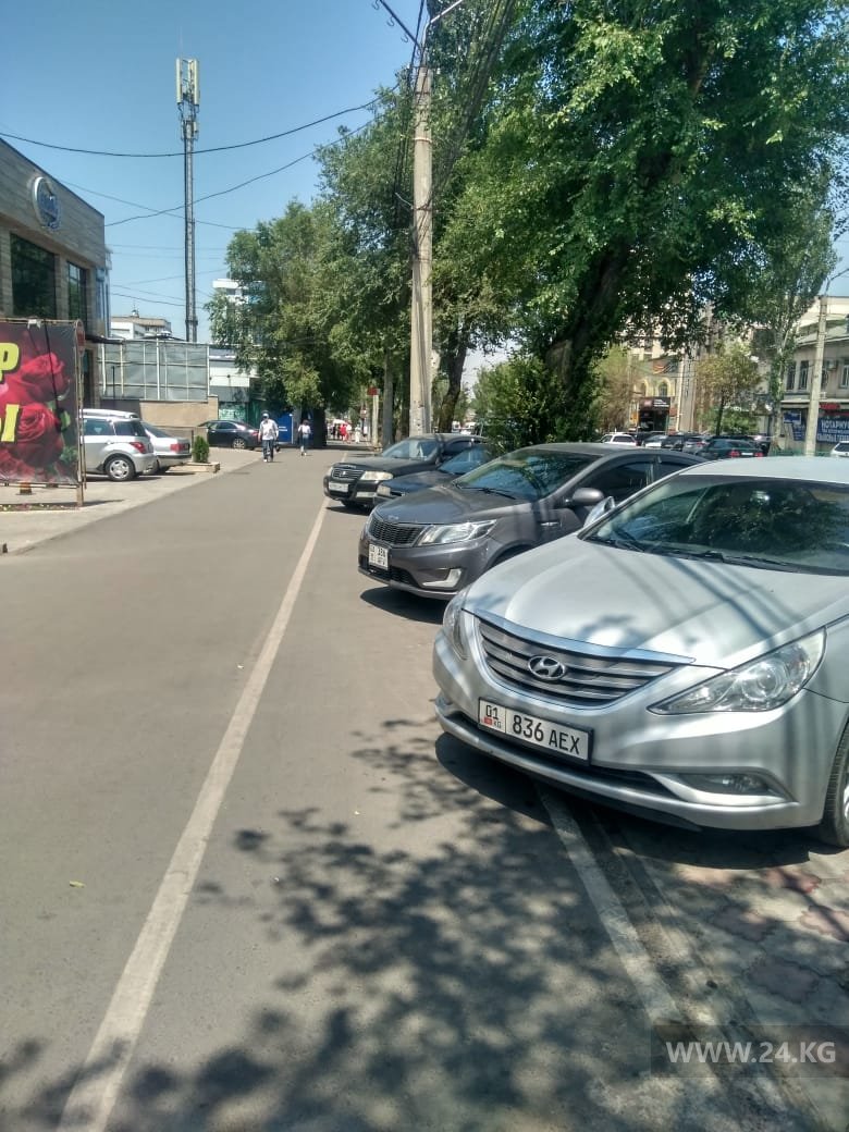Чудаки парковки