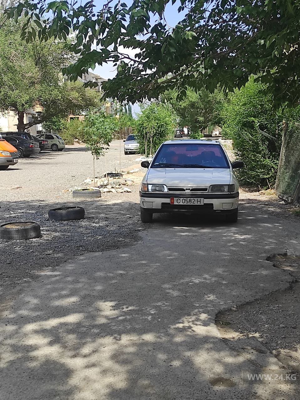 Чудаки парковки