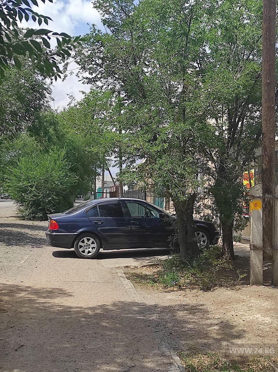 Чудаки парковки