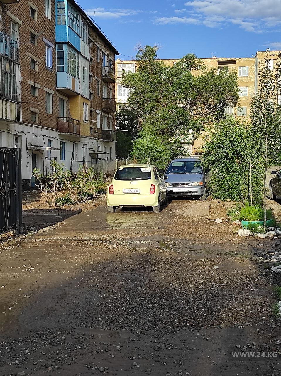 Чудаки парковки