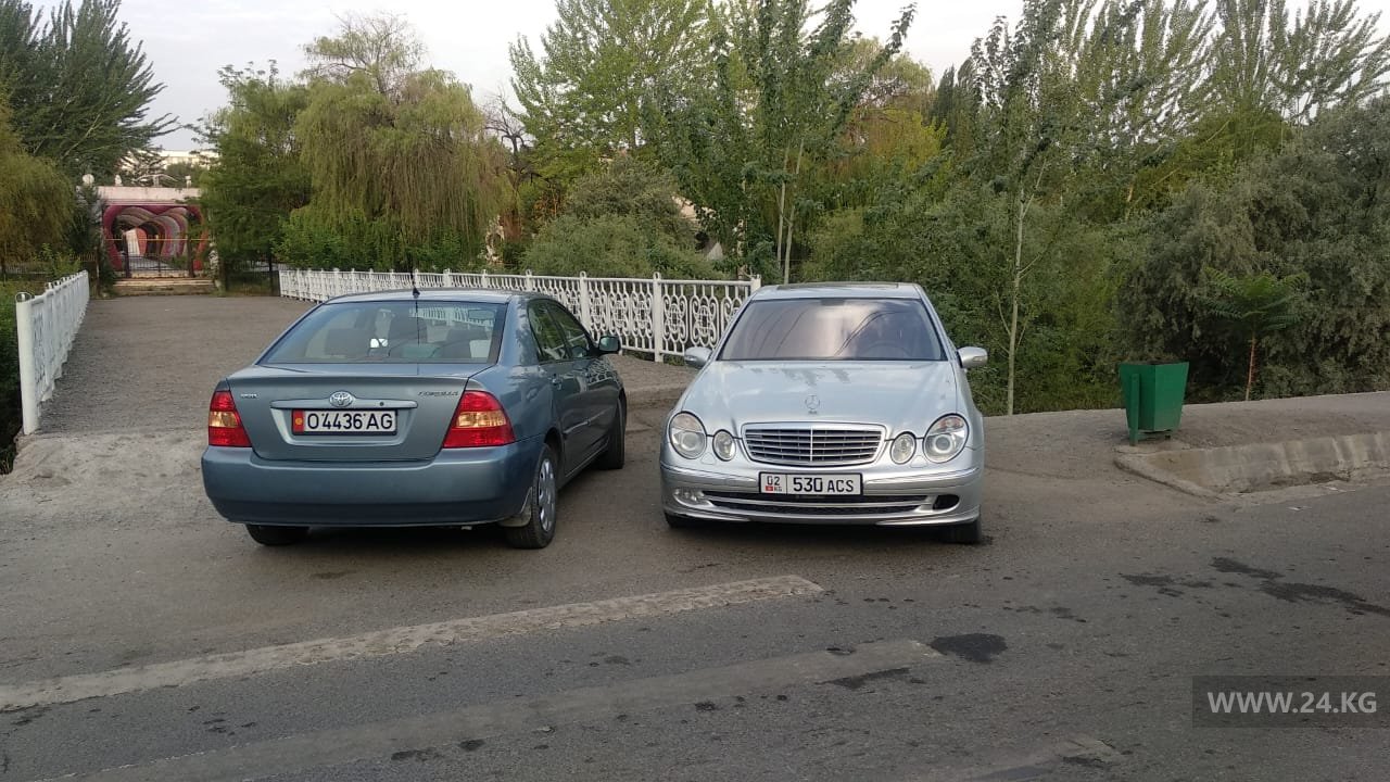 Чудаки парковки