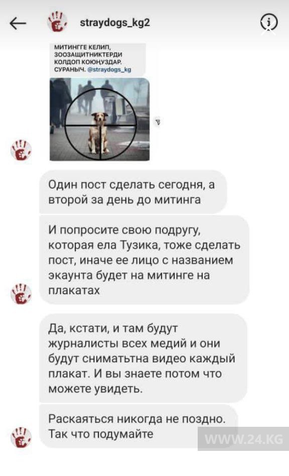 Сообщение от администратора Straydogs.kg