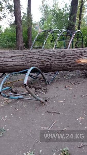 В Бишкеке на пересечении улиц Профессора Зимы и Тюменской дерево упало на детскую площадку
