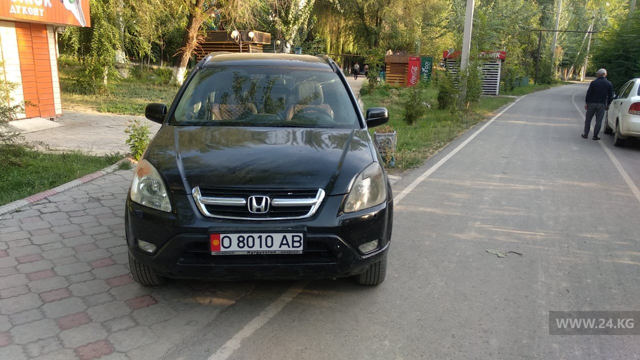 Чудаки парковки