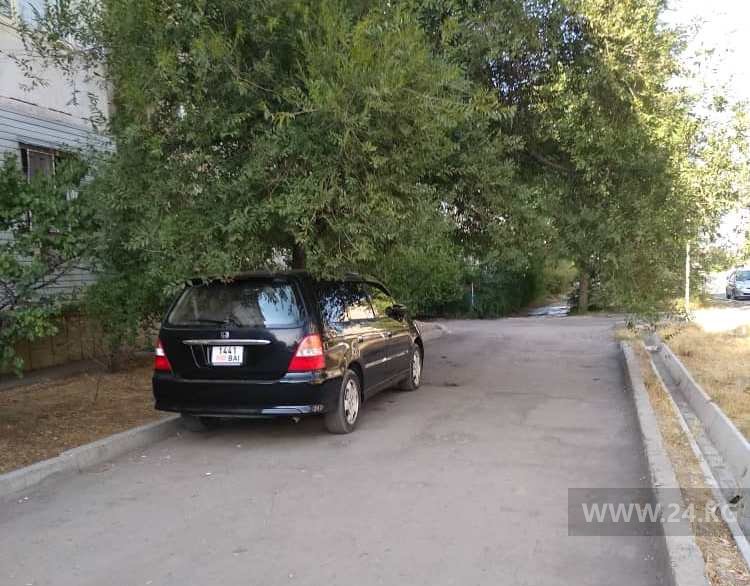 Чудаки парковки