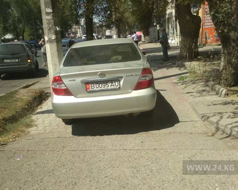 Чудаки парковки