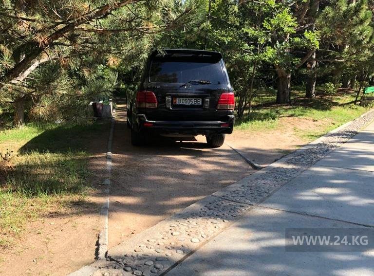 Чудаки парковки