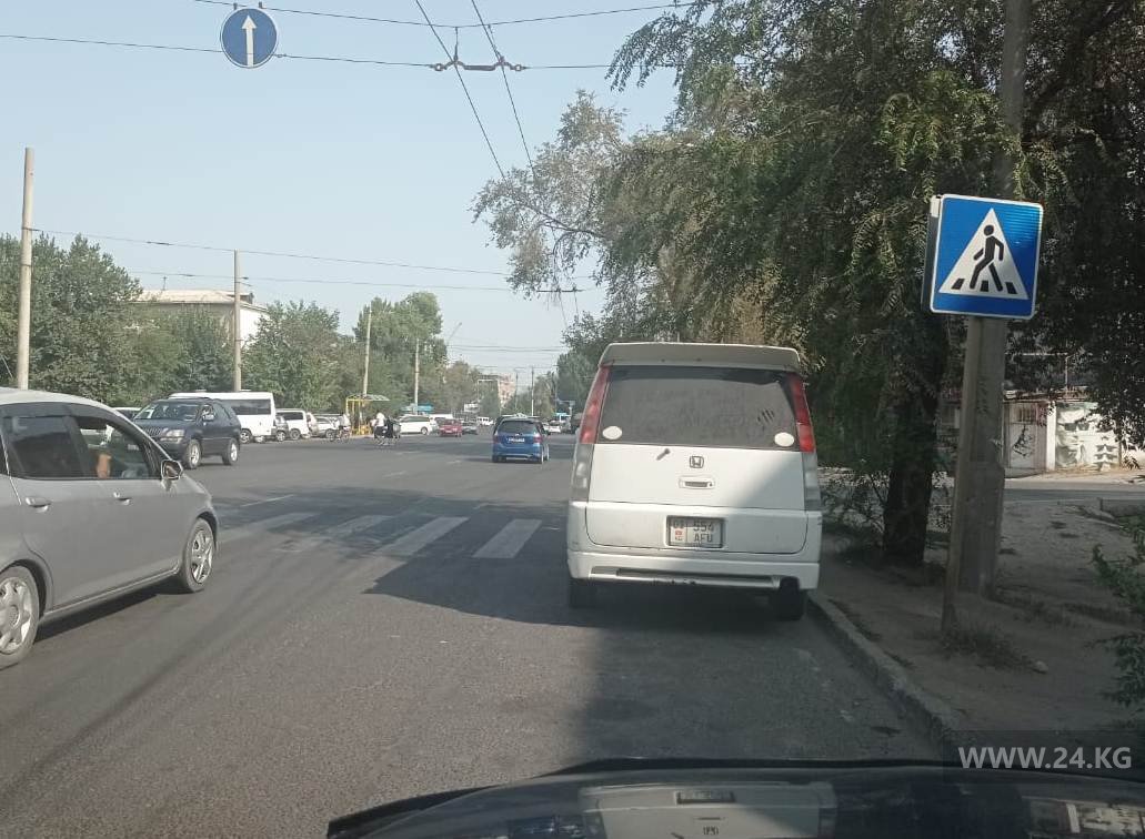 Чудаки парковки