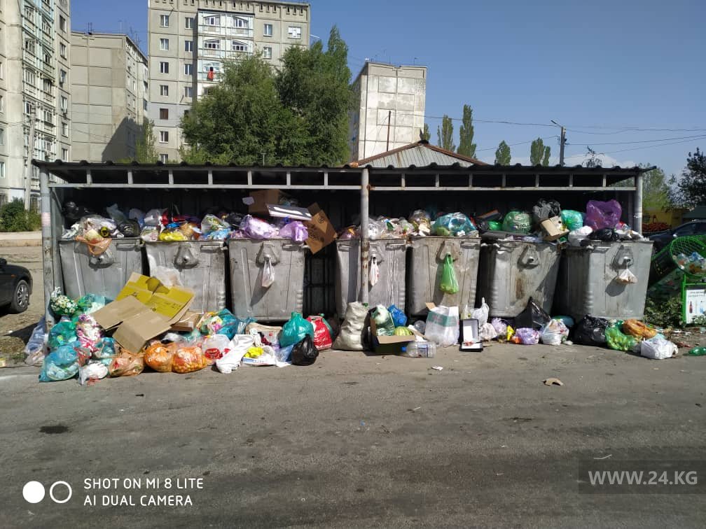 В Бишкеке в микрорайоне «Тунгуч» вовремя не вывозят мусор