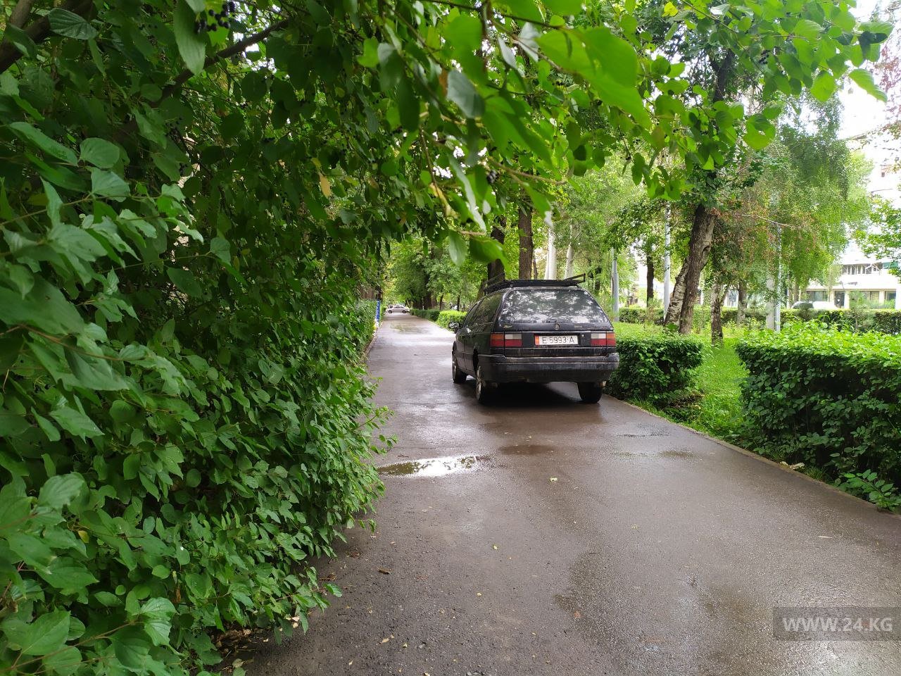 Чудаки парковки