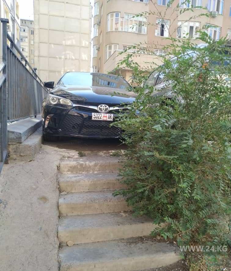 Чудаки парковки