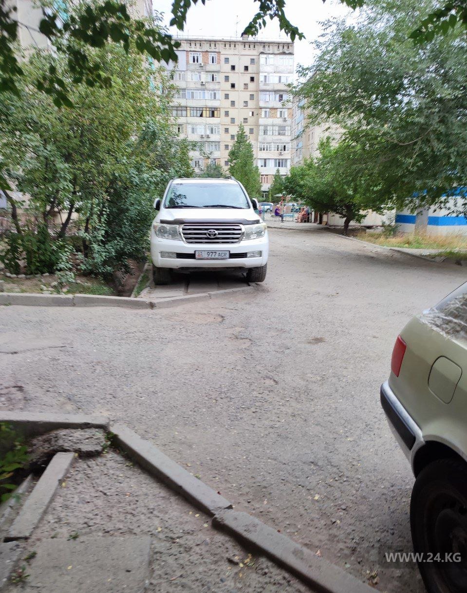 Чудаки парковки