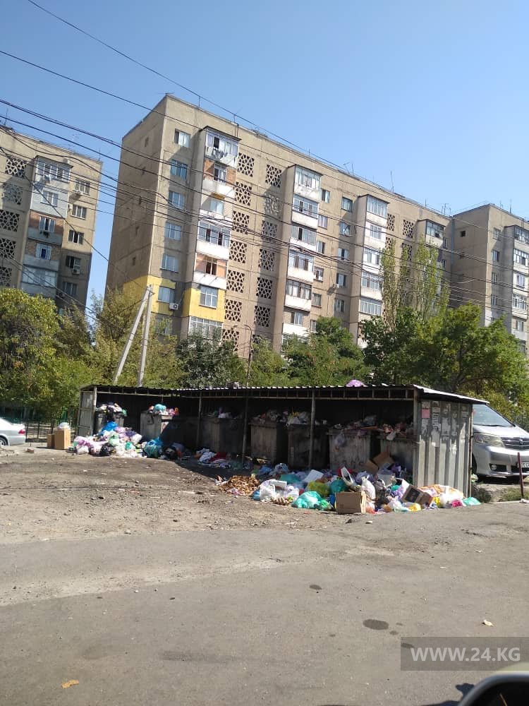 Мусор в микрорайоне «Аламедин-1»