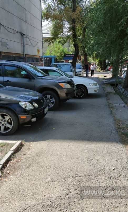 Чудаки парковки