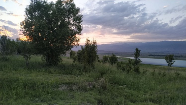 Залив реки Узун-Акмат, Токтогульское водохранилище