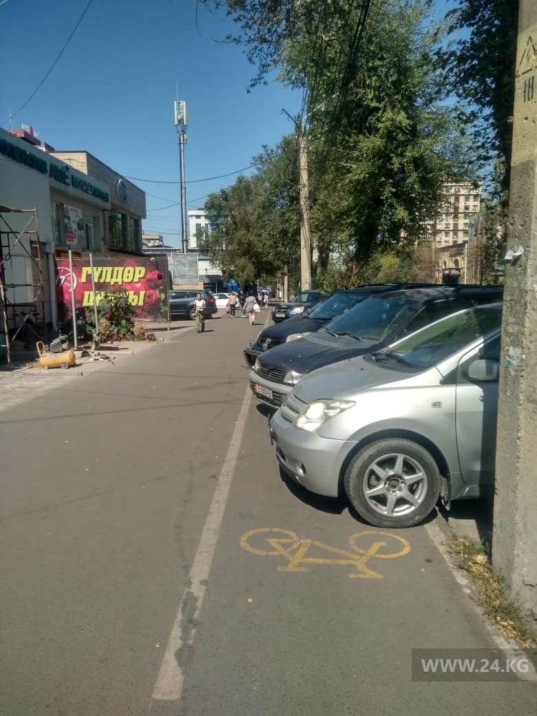 Чудаки парковки