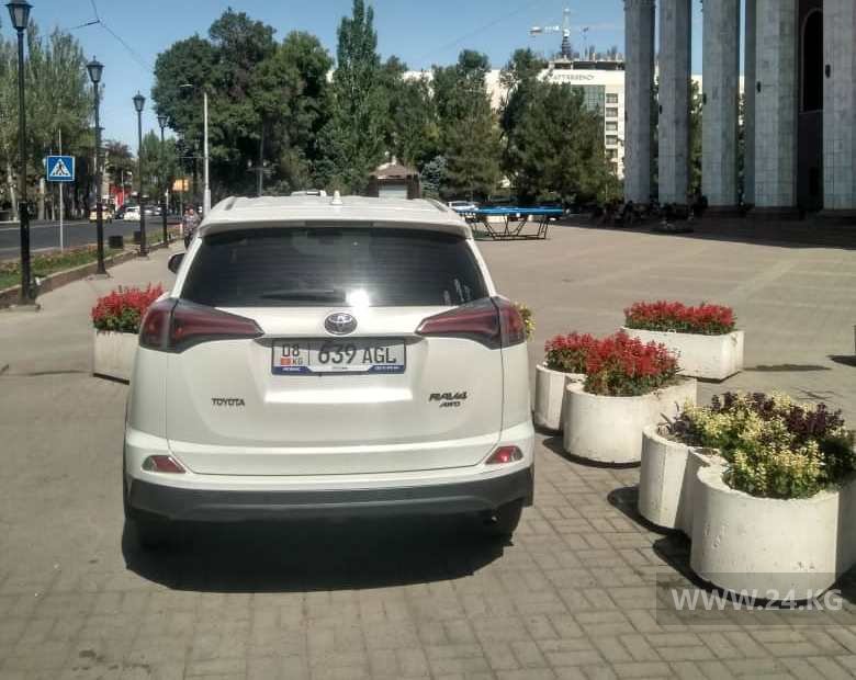 Чудаки парковки
