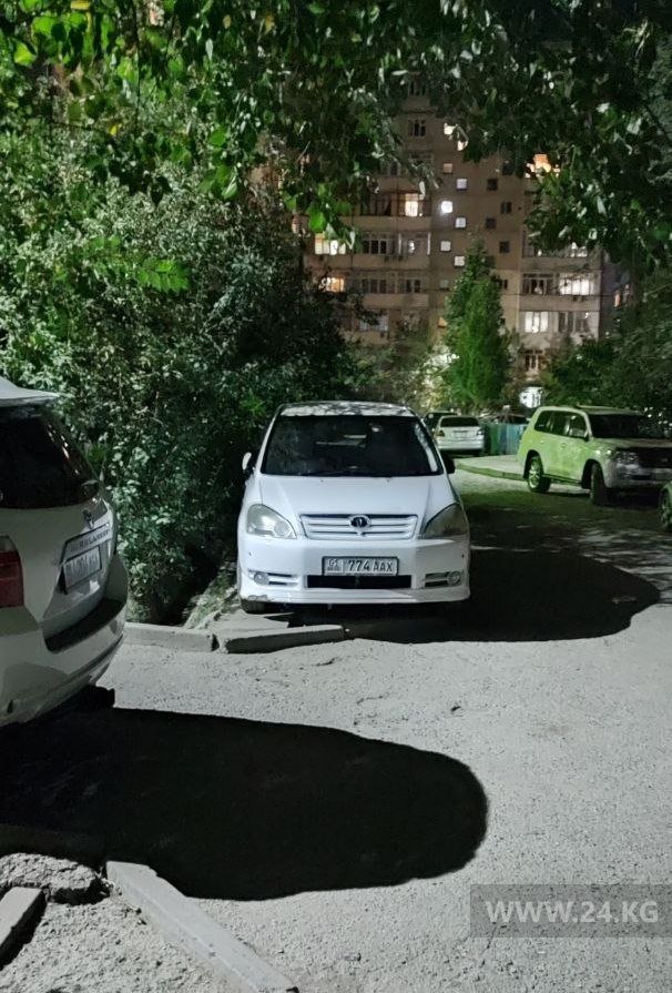Чудаки парковки