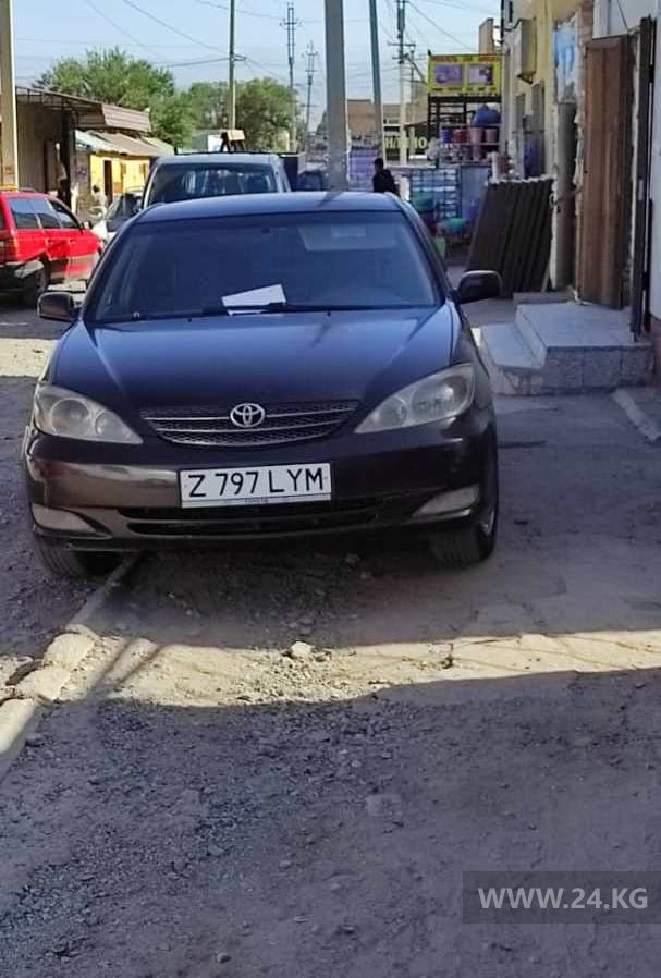 Чудаки парковки