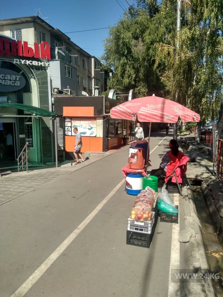 Велодорожка в Бишкеке