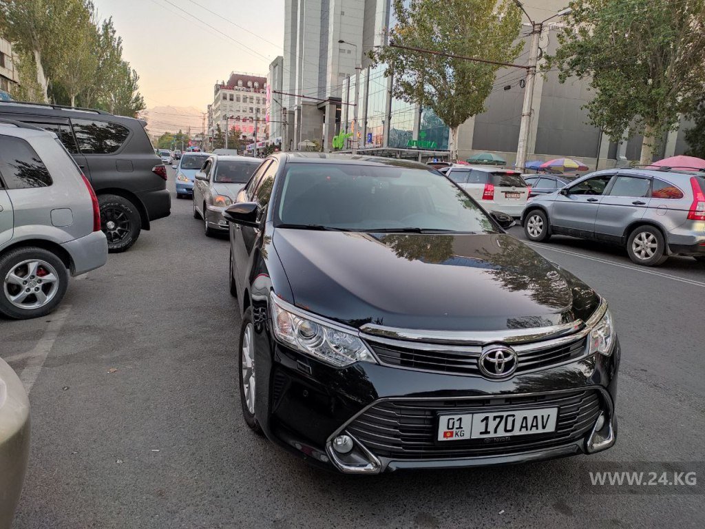 Чудаки парковки