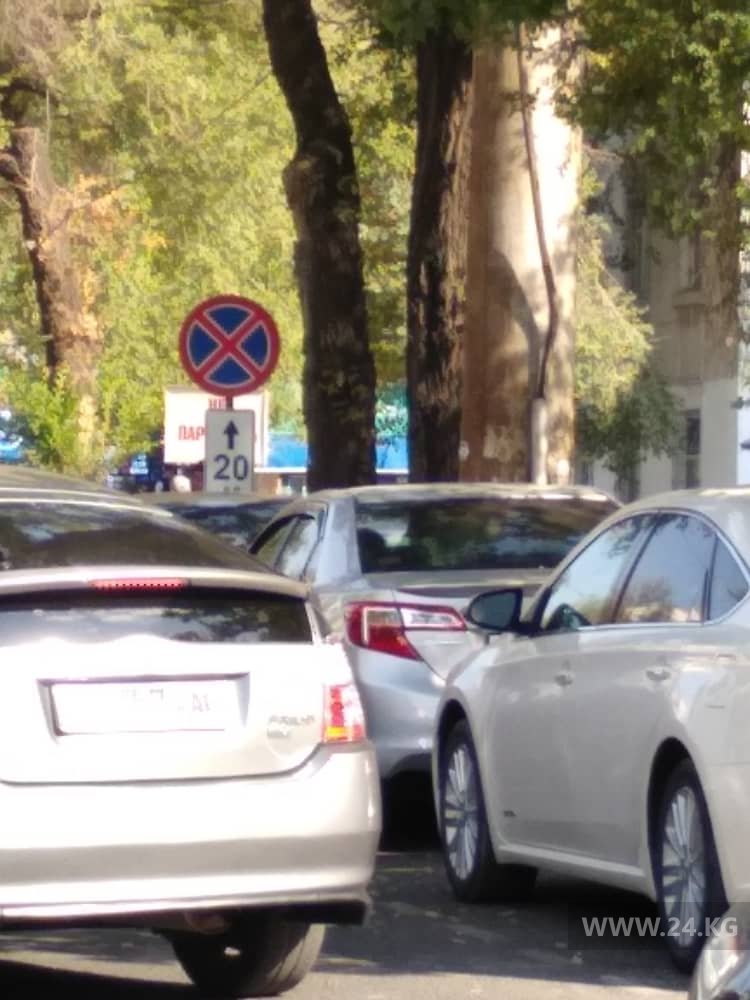 Чудаки парковки