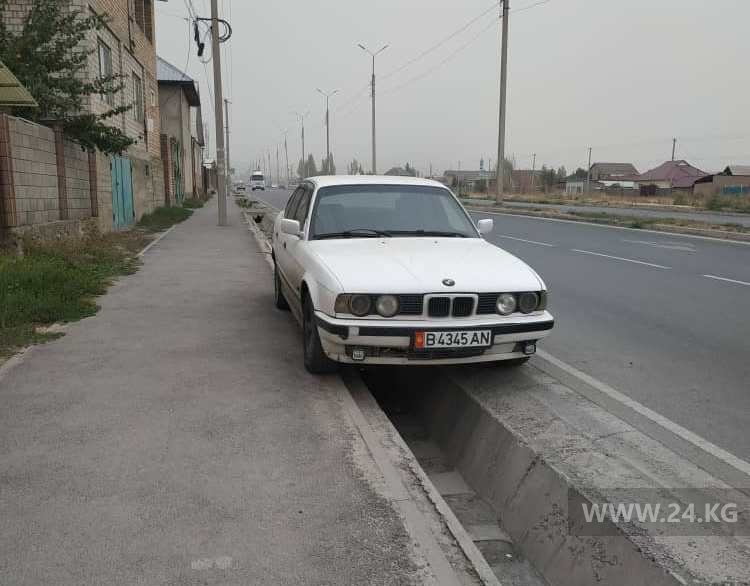 Чудаки парковки